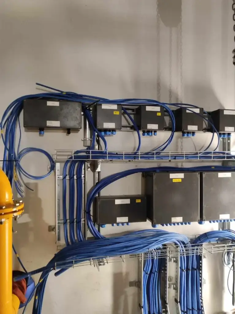 Neatly organized blue cabling connected to industrial distribution boxes